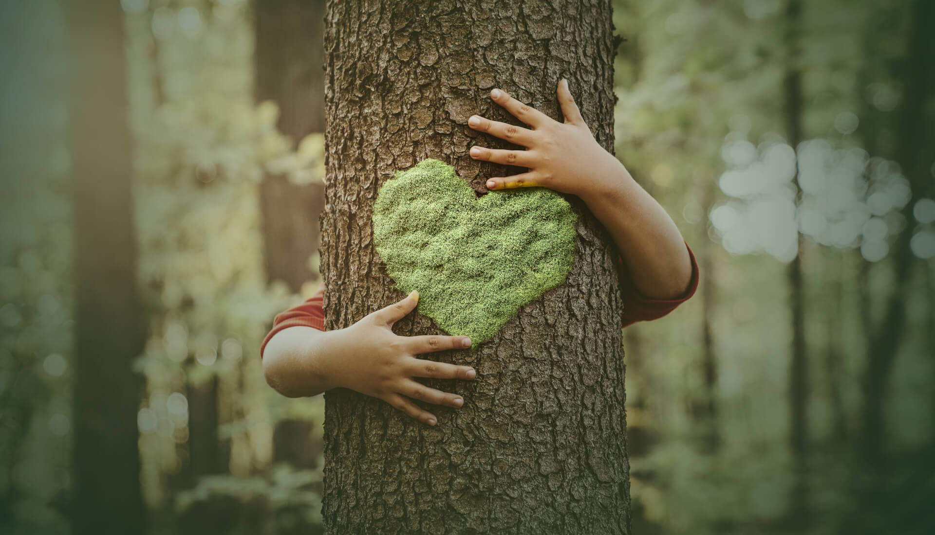 ADENTICS Green: Verantwortung zur Natur. 
